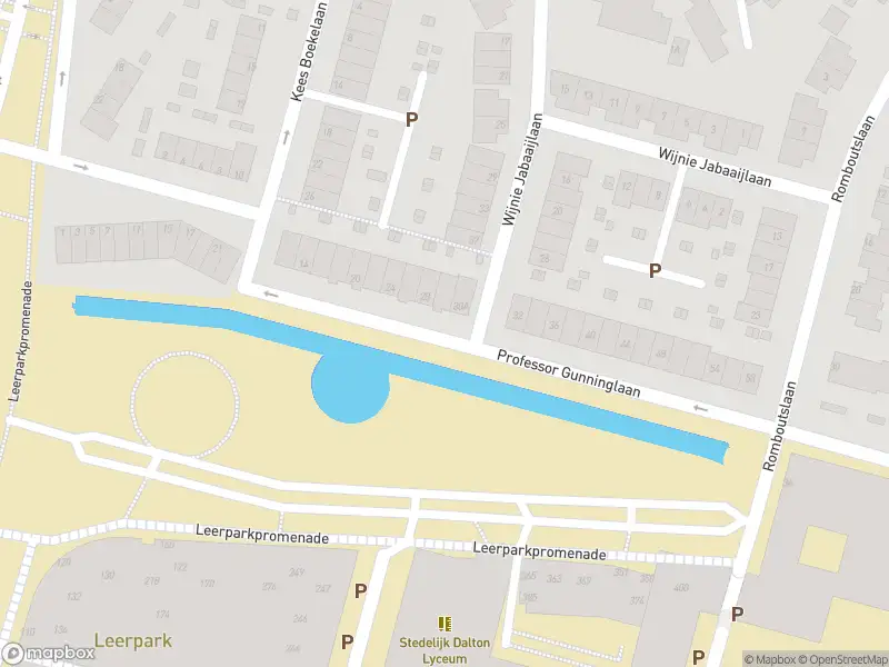 Overlastmelding Leerparkpromenade in 3312KW Dordrecht