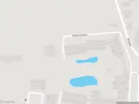 Overlastmelding Fazant in Vught