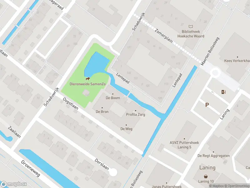 Overlastmelding Lentepad in Puttershoek