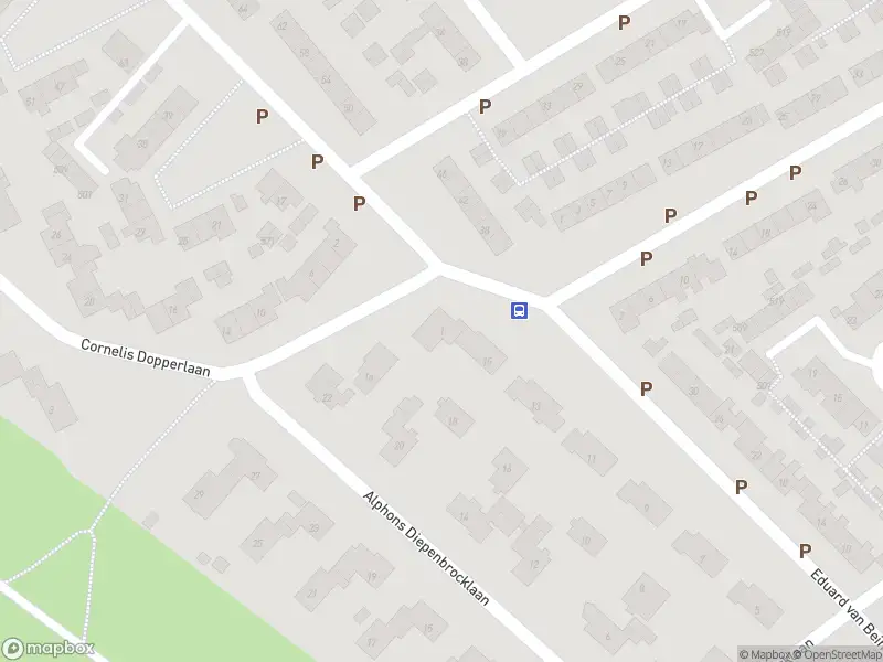 Overlastmelding Cornelis Dopperlaan in Dieren