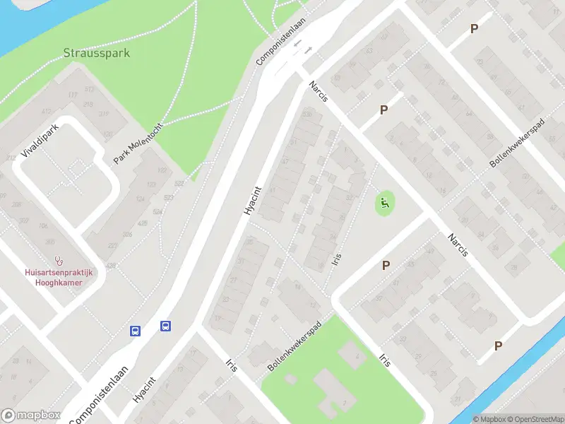 Overlastmelding Hyacint in Voorhout