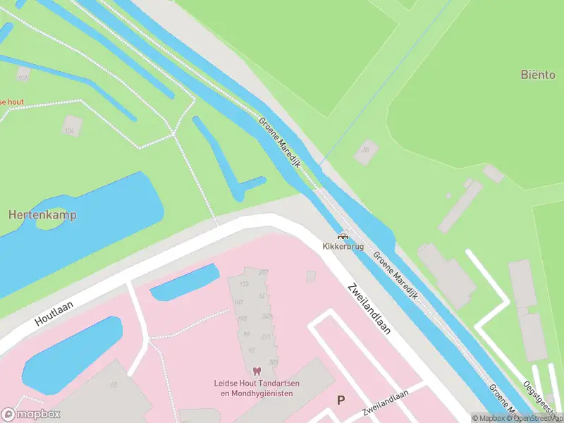 Ambulance met gepaste spoed naar de Groene Maredijk in Leiden vanwege stormschade