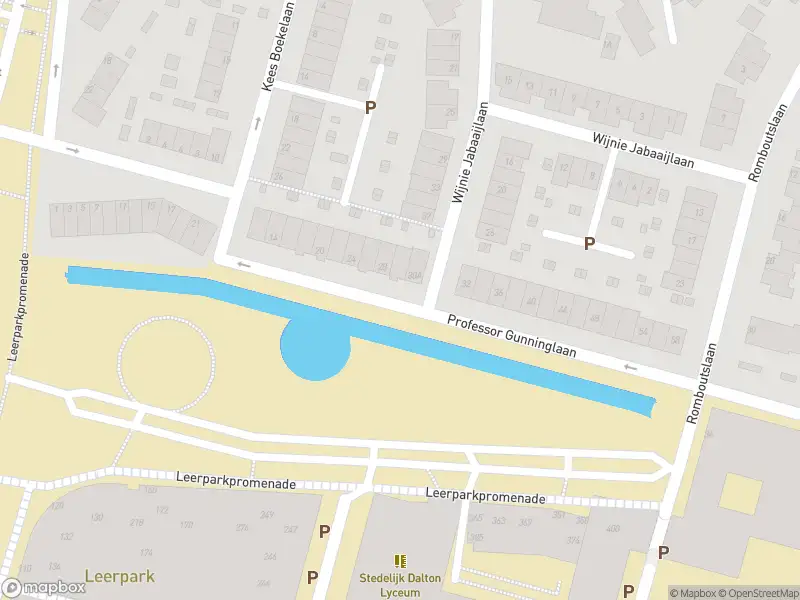 Overlastmelding Leerparkpromenade in 3312KW Dordrecht