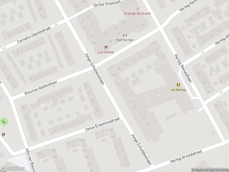 Politie naar de Diderik Vijghstraat in Tiel vanwege aanrijding met letsel