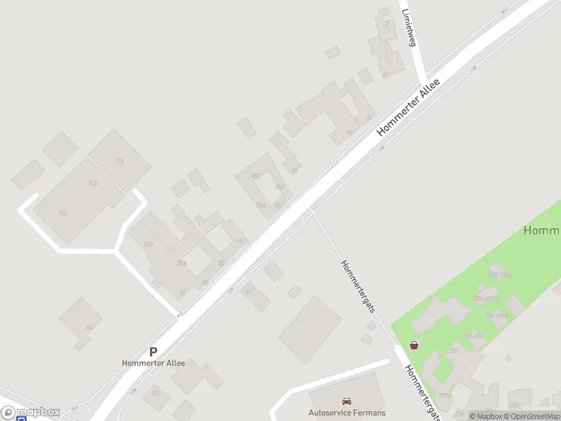 Overlastmelding Hommerter Allee in Amstenrade gesloten