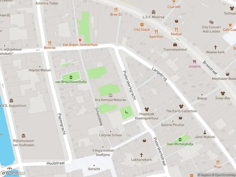 Brandweer met gepaste spoed naar de Pieterskerkgracht in Leiden vanwege stormschade