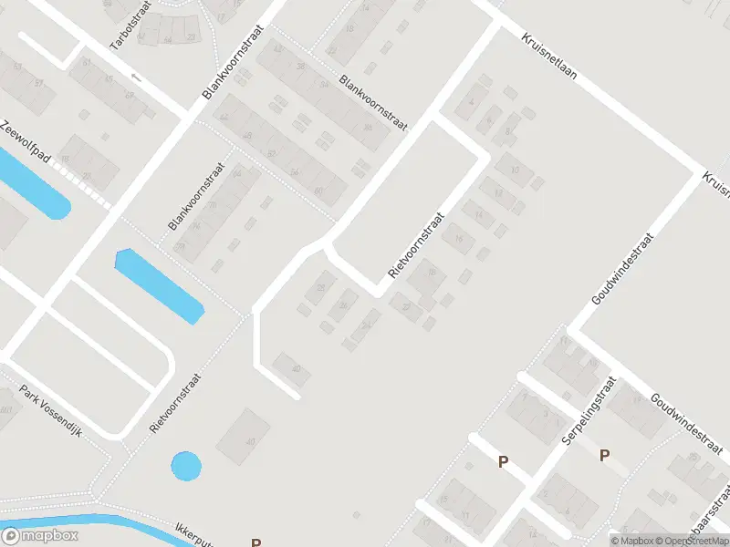 Brandweer met gepaste spoed naar de Rietvoornstraat in Hoogvliet Rotterdam vanwege stormschade