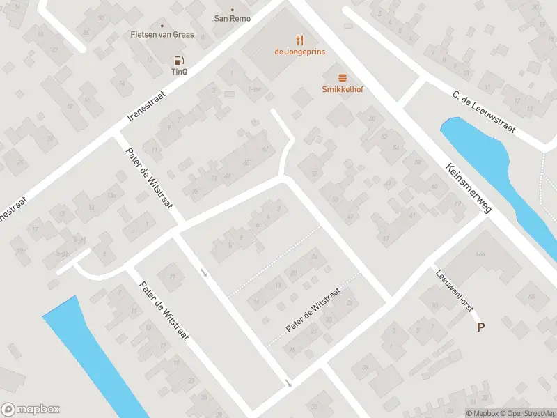 Overlastmelding Pater de Witstraat in 't Zand