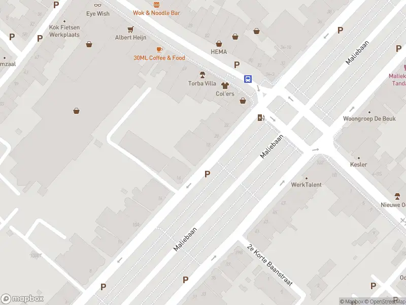 Brandweer met gepaste spoed naar de Maliebaan in Utrecht vanwege stormschade