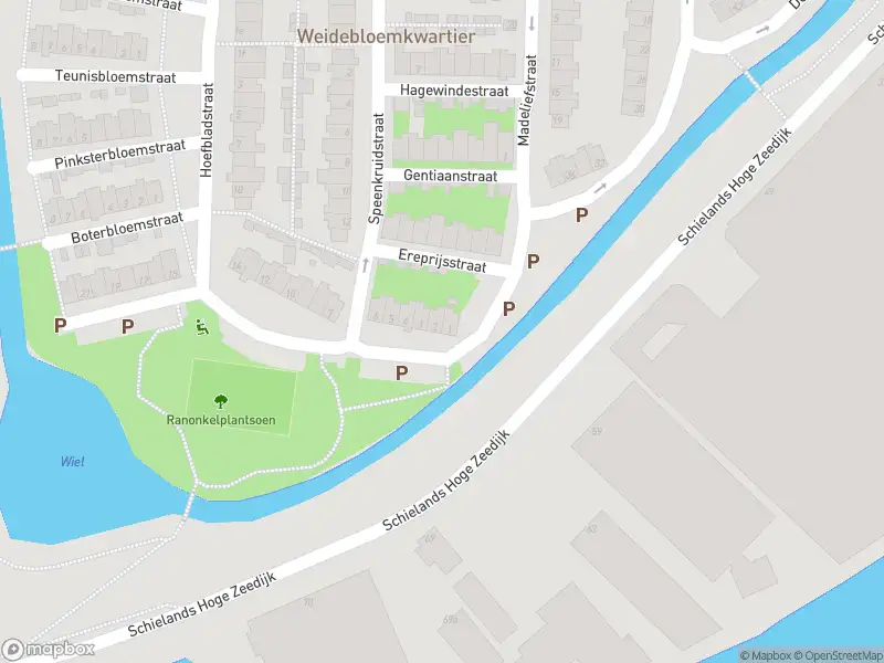 Brandweer met gepaste spoed naar de Ranonkelplantsoen in Gouda vanwege stormschade