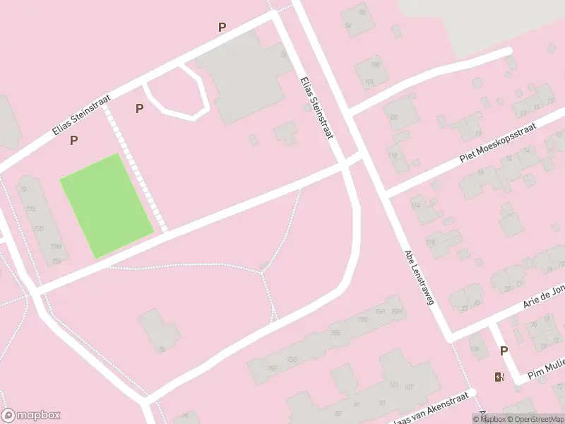 Brandweer met gepaste spoed naar de Elias Steinstraat in 's-Gravenhage vanwege stormschade