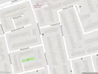 Brandweer met gepaste spoed naar de Esdoornstraat in 's-Gravenzande