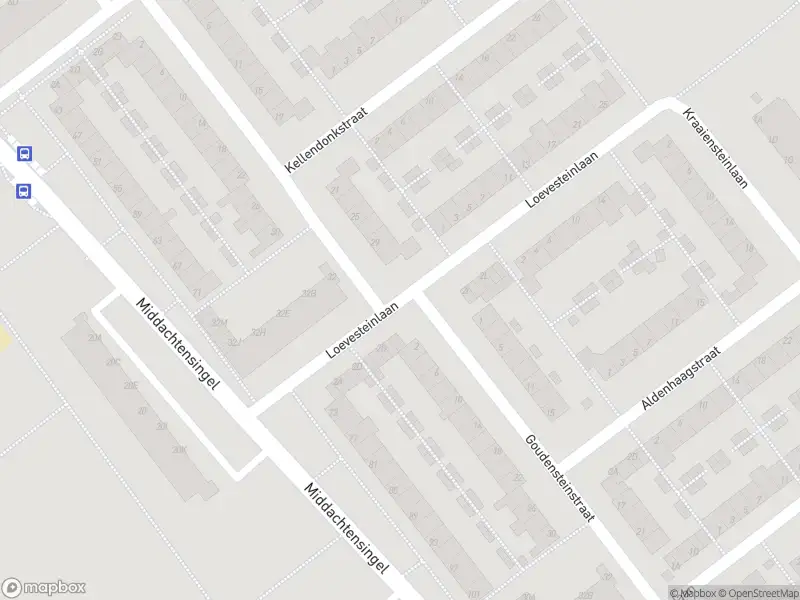 Overlastmelding Loevesteinlaan in Arnhem