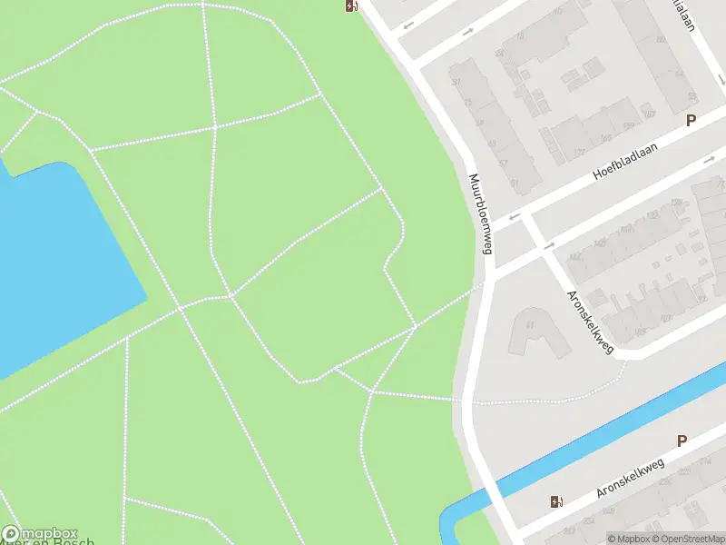 Ambulance met gepaste spoed naar de Lobelialaan in 's-Gravenhage