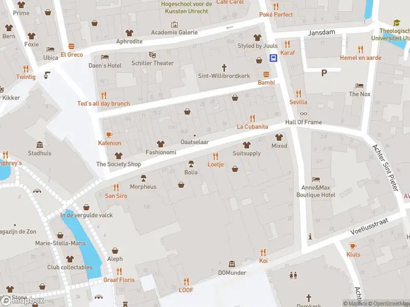 Politie naar de Neude in Utrecht