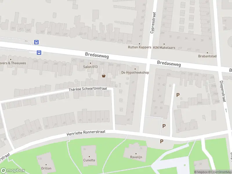 Anonieme overlastmelding Thérèse Schwartzestraat in Tilburg