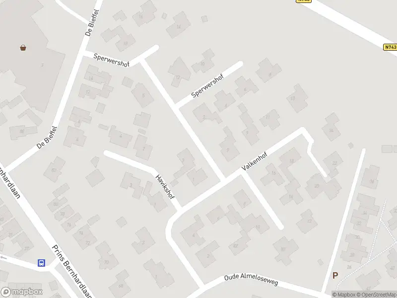 Brandweer met gepaste spoed naar de Sperwershof in Borne