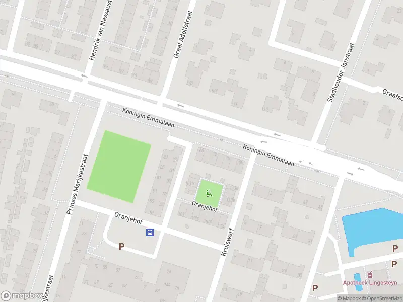 Overlastmelding Koningin Emmalaan in Leerdam