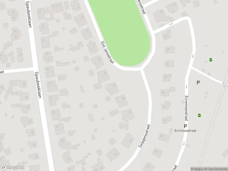 Overlastmelding Seipgensstraat in Geleen