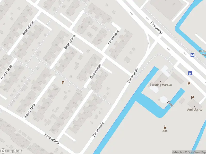 Overlastmelding Boomstede in Maarssen
