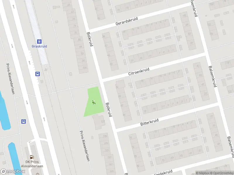 Ambulance met grote spoed naar de Bolkruid in Rotterdam