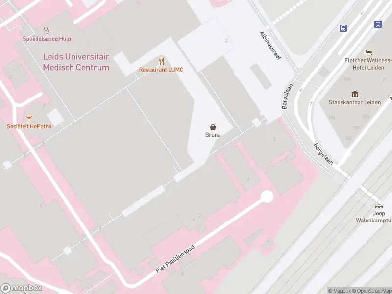 Ambulance met gepaste spoed naar de Piet Paaltjenspad in Leiden