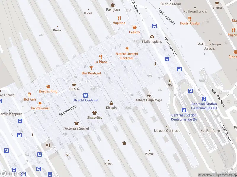 Politie naar de Stationshal in Utrecht