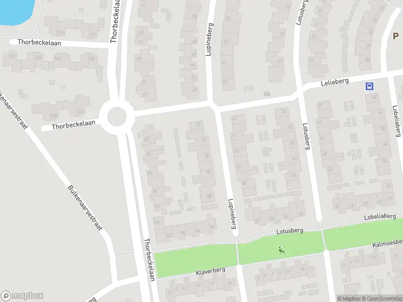 Brandweer met grote spoed naar de Lupineberg in Roosendaal vanwege gebouwbrand