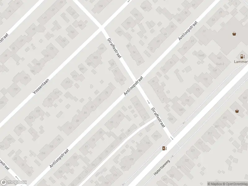 Brandweer met gepaste spoed naar de Kastanjelaan in Nijmegen vanwege waarnemen gaslucht