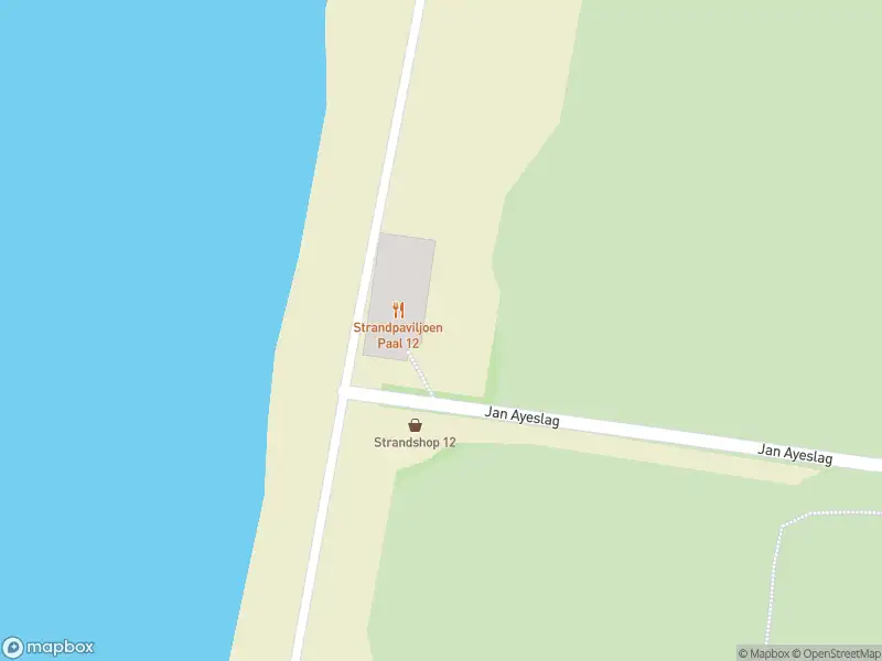 Brandweer met grote spoed naar de Jan Ayeslag in Den Hoorn