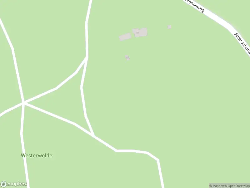 Brandweer met gepaste spoed naar de Alverschotenseweg in Hoog Soeren