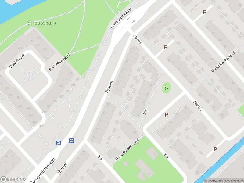 Overlastmelding Hyacint in Voorhout