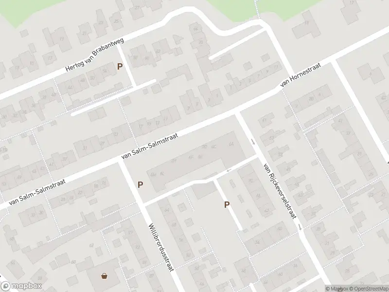 112 melding Overlastmelding Van Salm-Salmstraat in Loon op Zand gesloten