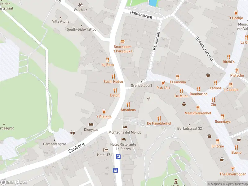 Brandweer met gepaste spoed naar de Grendelplein in Valkenburg