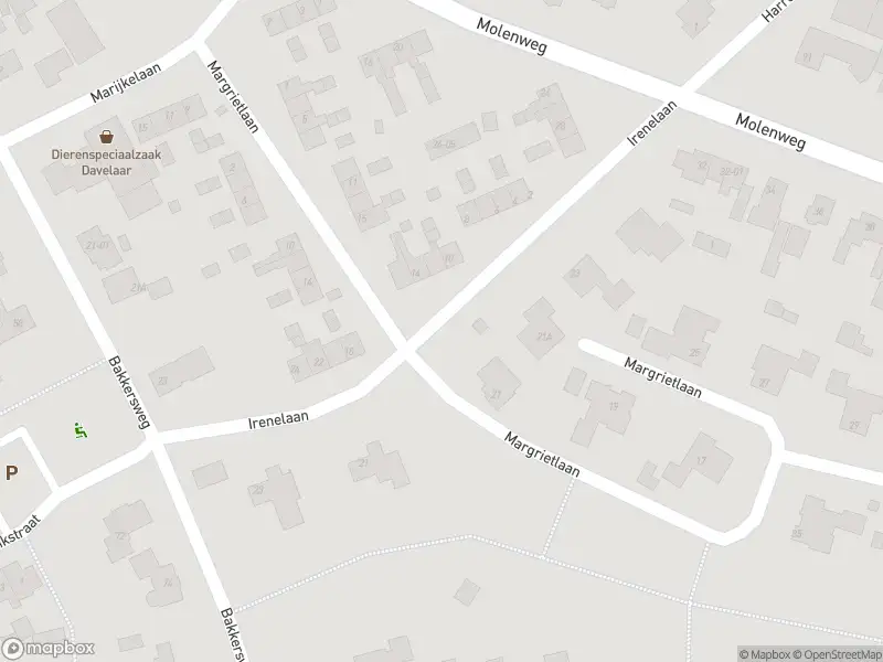 Brandweer met grote spoed naar de Irenelaan in Voorthuizen