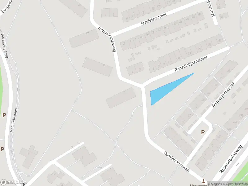 Overlastmelding Dominicanenweg in Arnhem