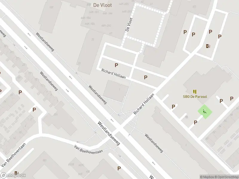 Overlastmelding Richard Hollaan in Maassluis gesloten