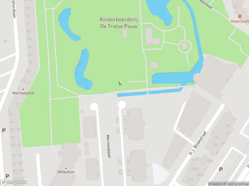 Ambulance met gepaste spoed naar de Marrewijkpad in Spijkenisse