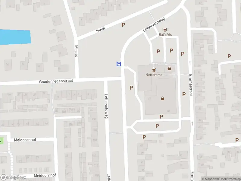 Brandweer met gepaste spoed naar de Ververstraat in Borne