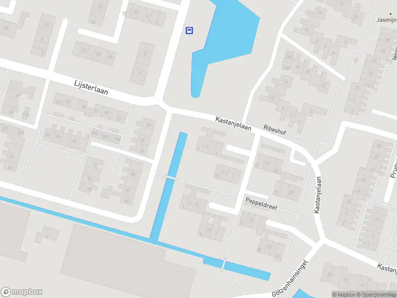 Ambulance met grote spoed naar de Kastanjelaan in Bleiswijk
