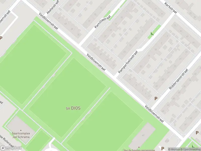 Ambulance met gepaste spoed naar de Nachtschadestraat in Nieuw-Vennep