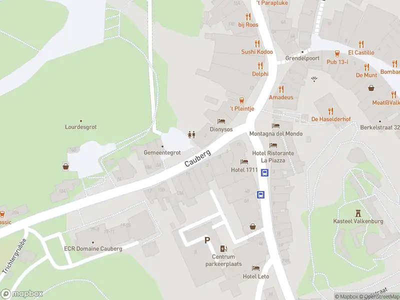 Brandweer met grote spoed naar de Cauberg in Valkenburg vanwege gebouwbrand