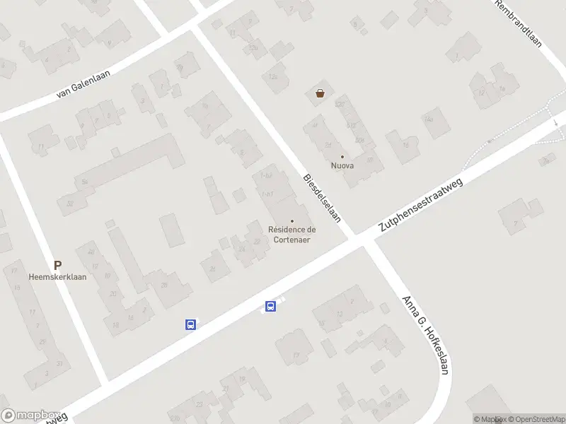 Overlastmelding Biesdelselaan in Velp