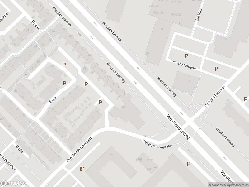 112 melding Overlastmelding Drijver in Maassluis