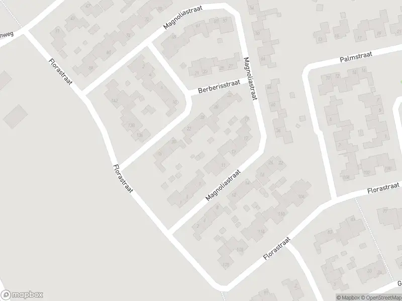 Ambulance met gepaste spoed naar de Magnoliastraat in Nederweert