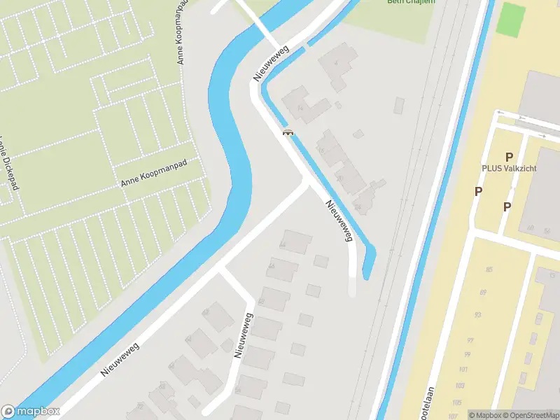 Overlastmelding Nieuweweg in 3314JS Dordrecht