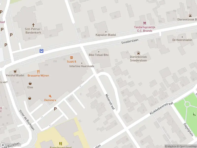 Brandweer met grote spoed naar de Wilhelminalaan in Bladel vanwege gebouwbrand