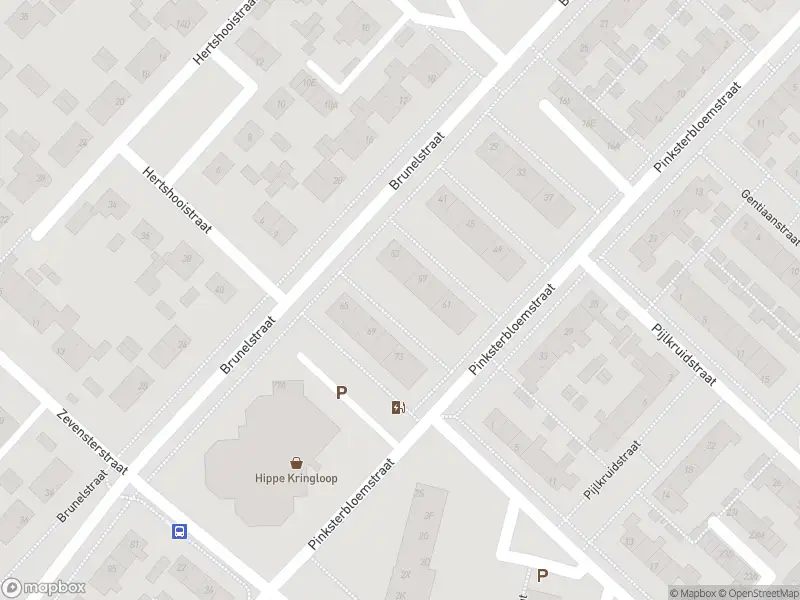 Brandweer met gepaste spoed naar de Dotterbloemstraat in Assen