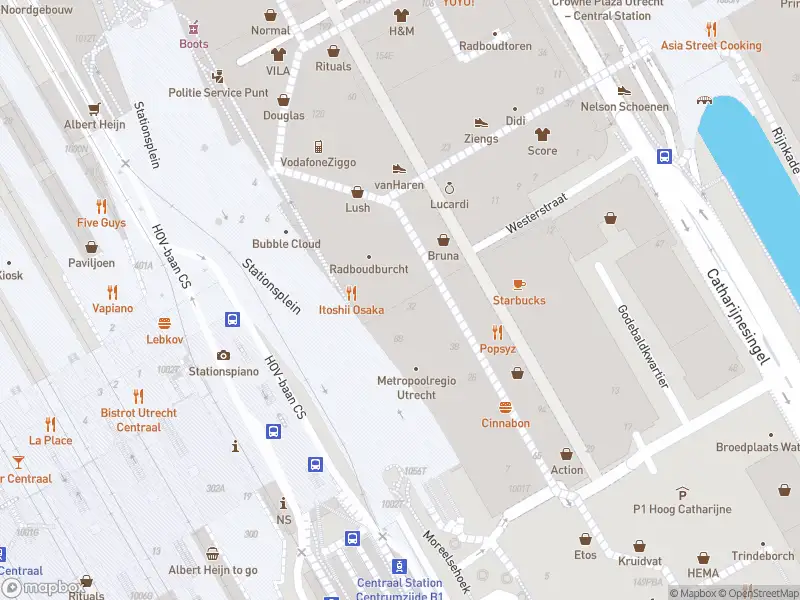 Politie naar de Stationsplein in Utrecht