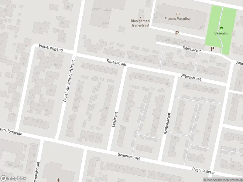 Ambulance met gepaste spoed naar de Lisstraat in Oud-Beijerland
